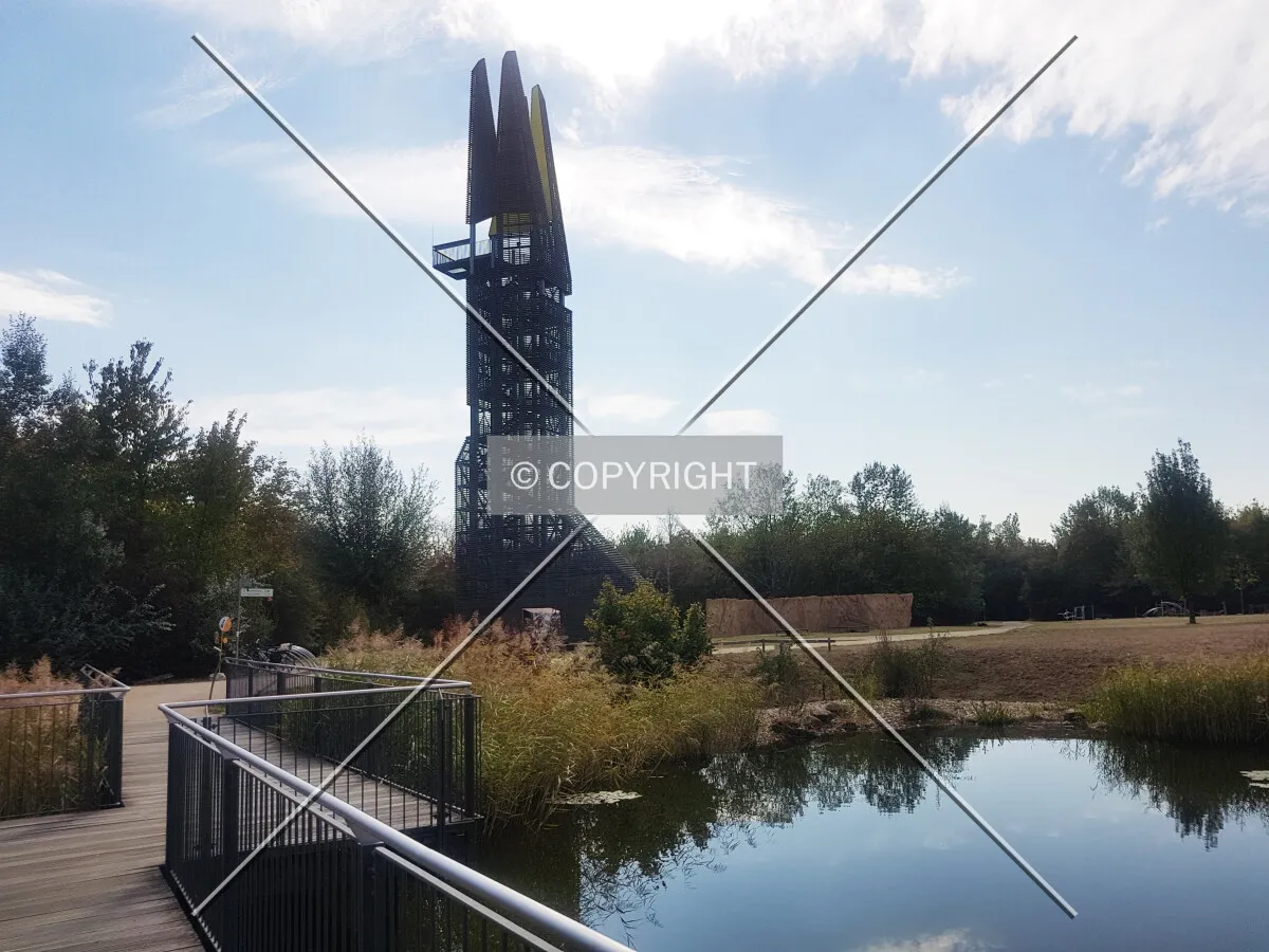 Photo 559-284-892