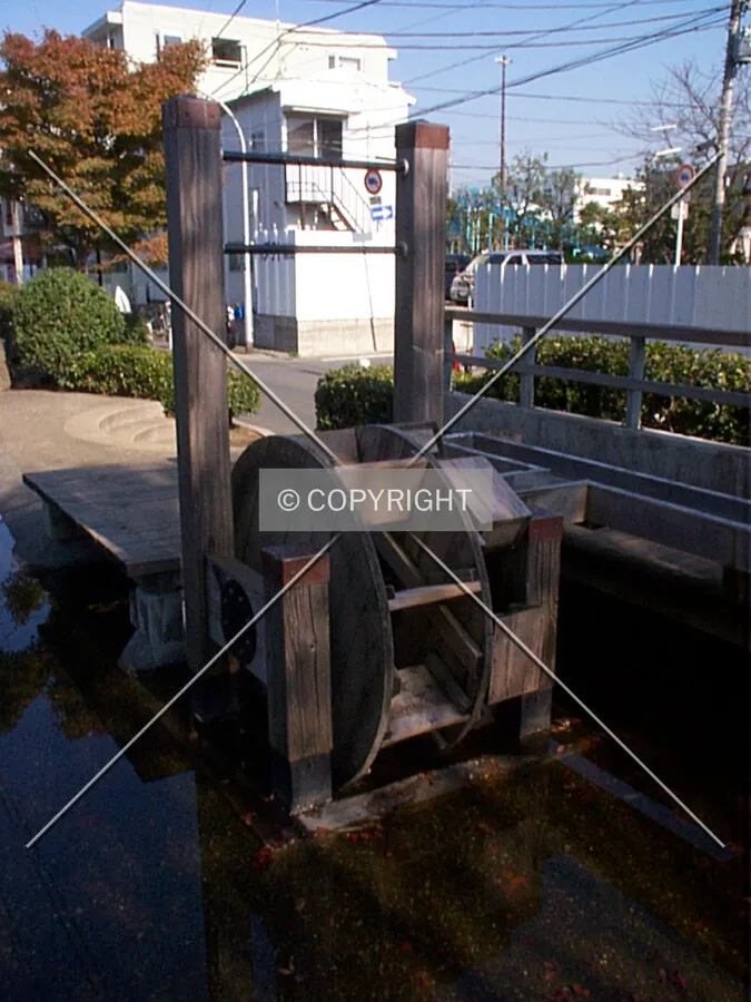 Photo 559-327-550