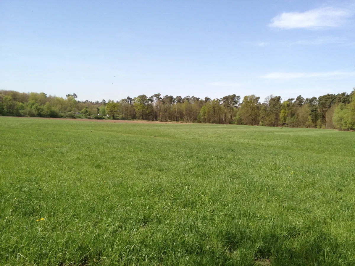 Photo 559-529-210