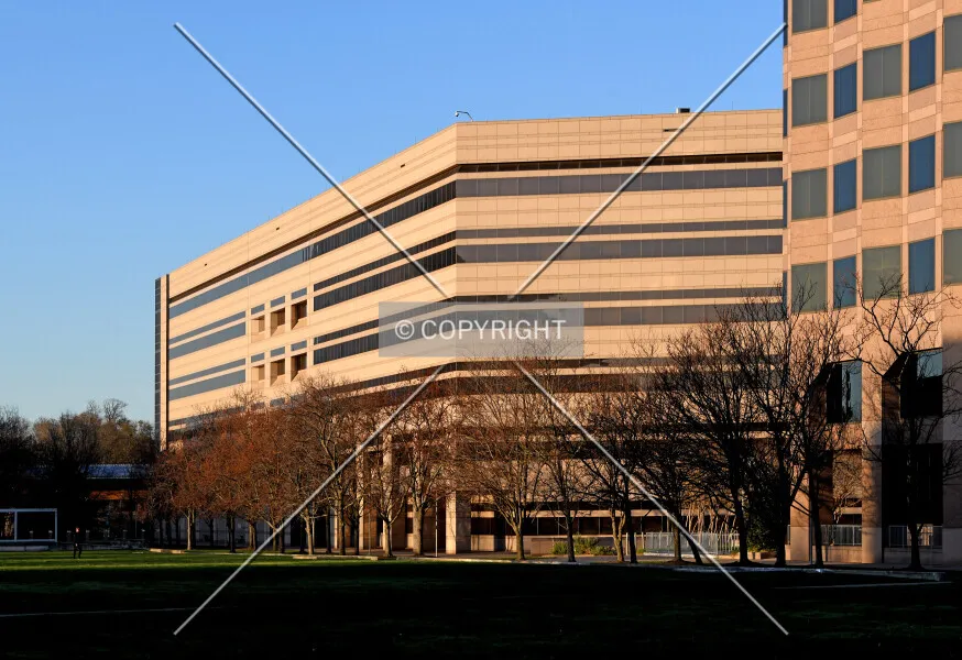 Revenue Building