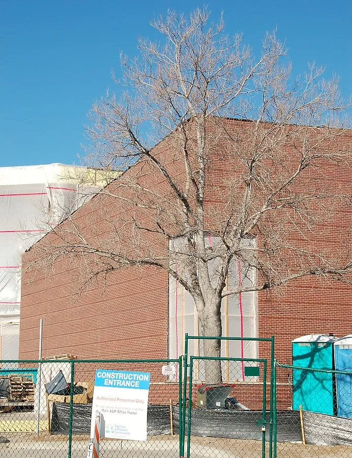 View from the southeast