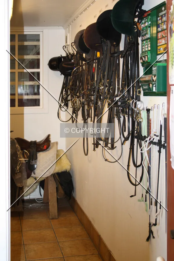 Helmets and riding equipment