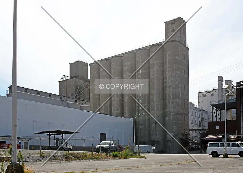 Photo 560-336-378