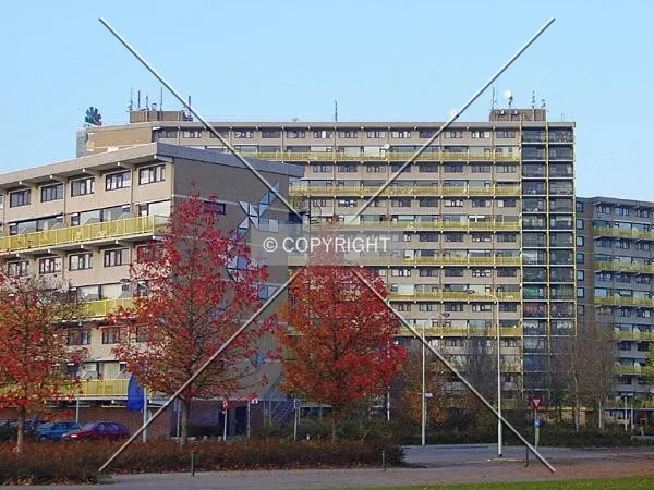View from Banneweg