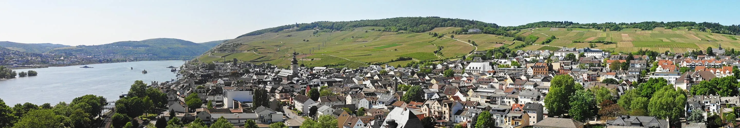 Panorama of Rüdesheim am Rhein