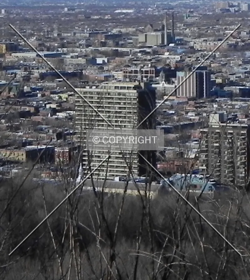 South view from Mont Royal.