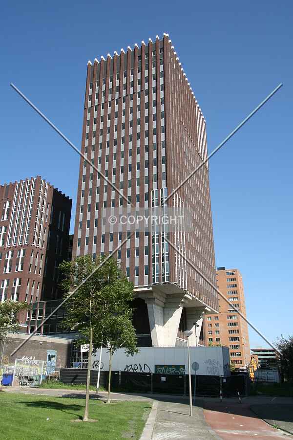 View from the south