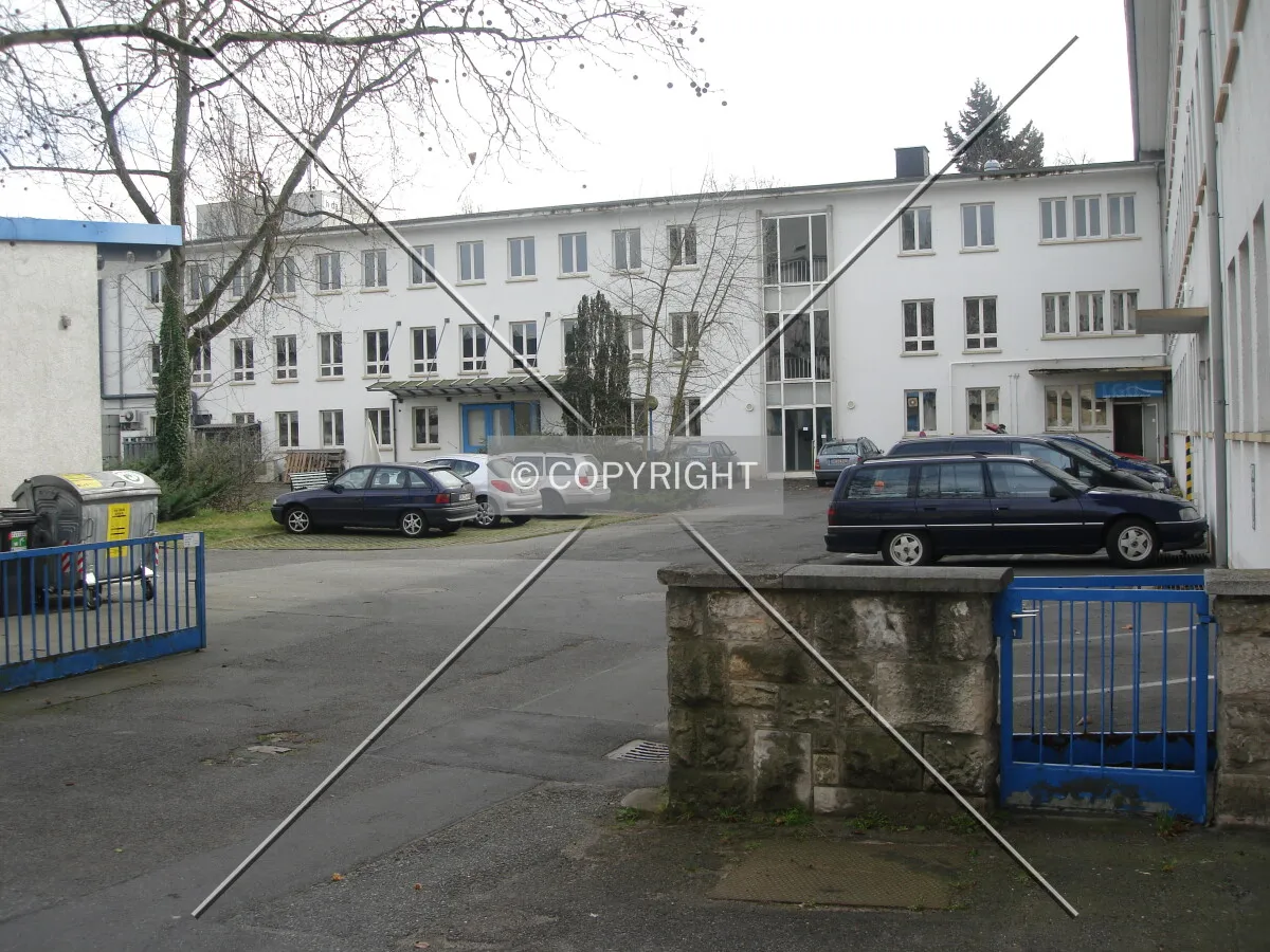 View of the rear