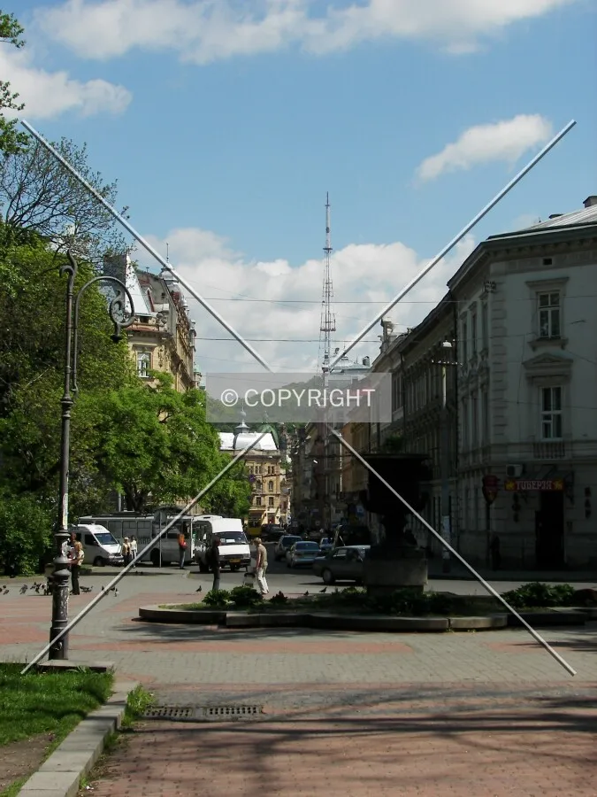 Looking along Sichovych Striltsiv Street