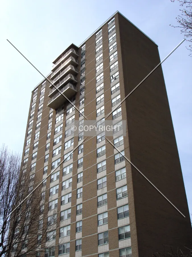Looking up from Delmar
