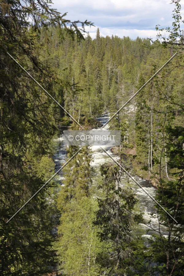 Oulanka National Park