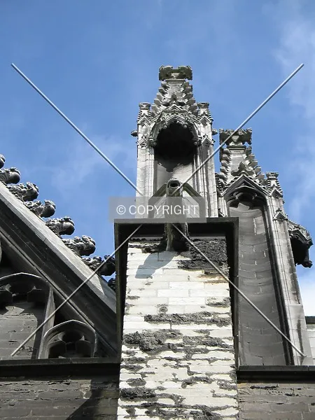 Photo 564-816-186