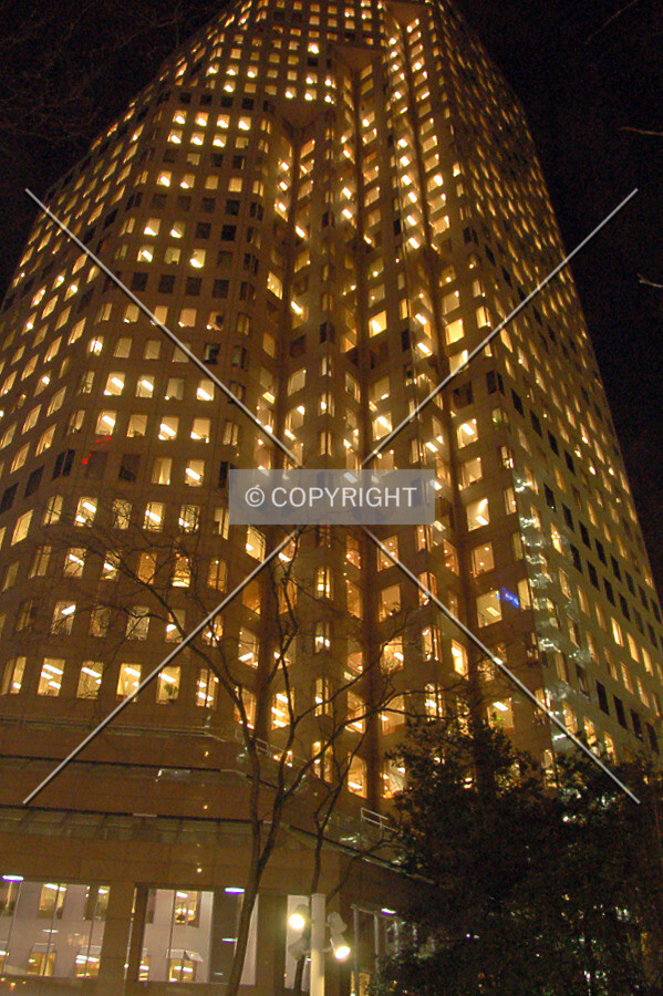 Close-up at night