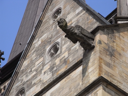 Photo 565-139-263