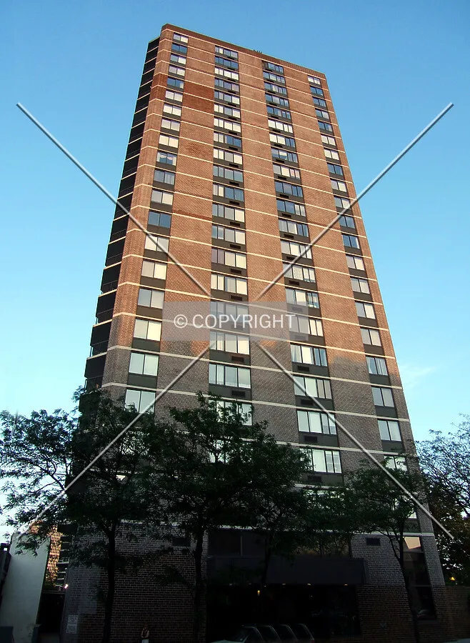 View from the northwest