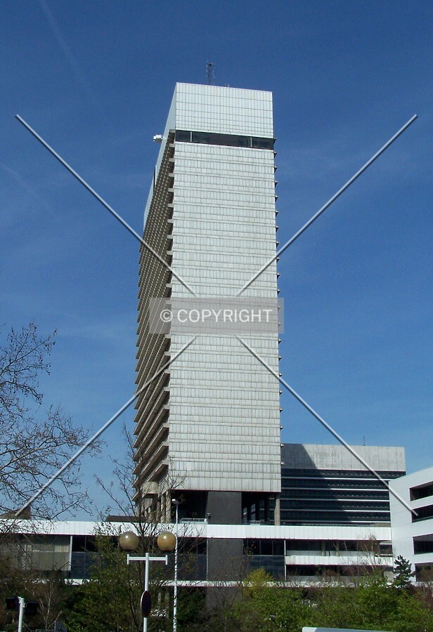 View from the east