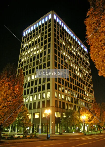Photo 565-207-314