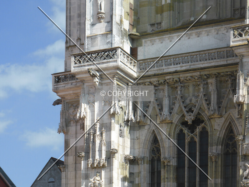 Photo 565-231-344