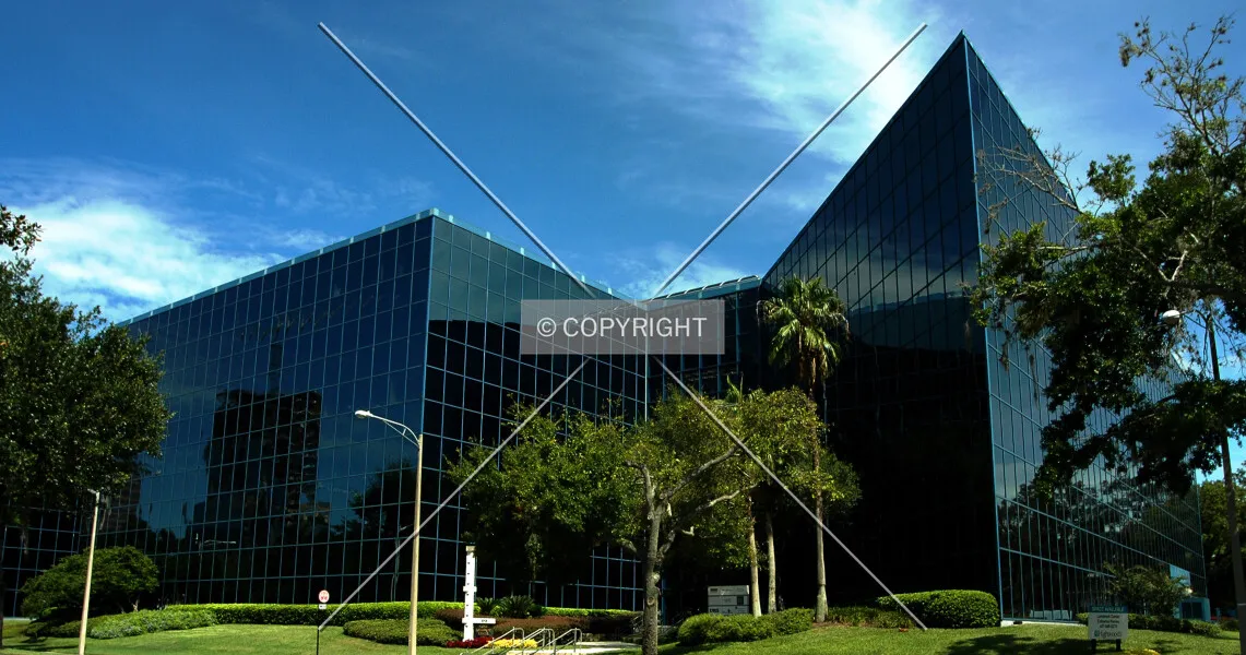 Photo 565-254-627
