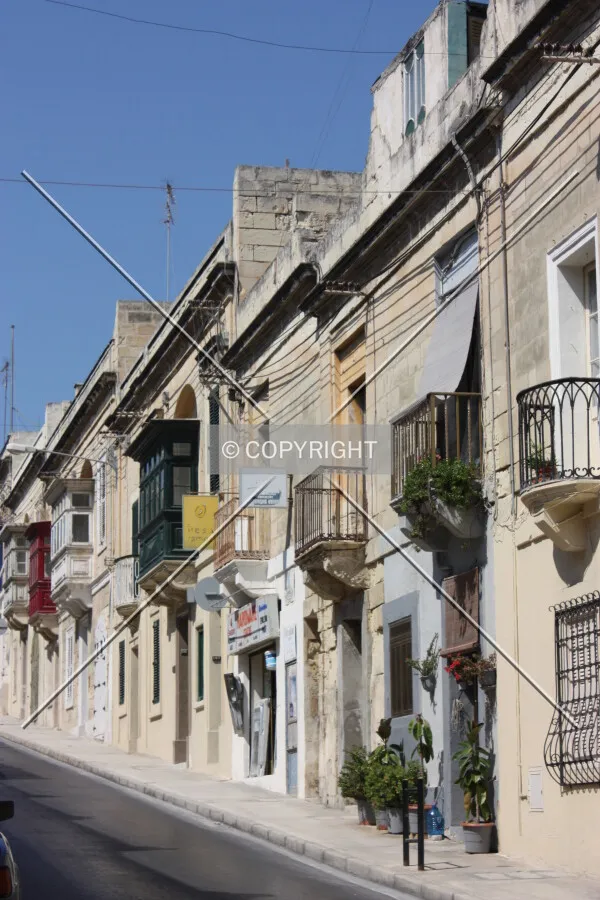 Traditional houses