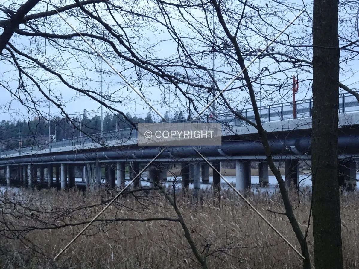 Photo 565-693-786