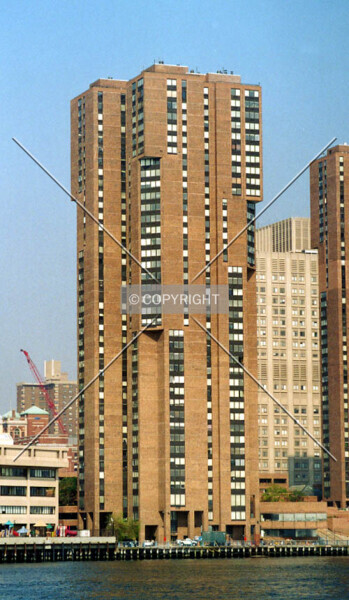 Photo 565-981-939