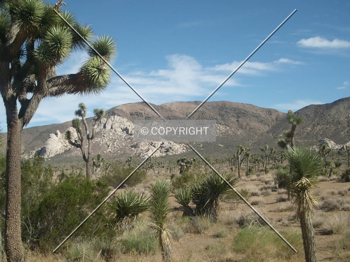 Joshua Tree NP mountains