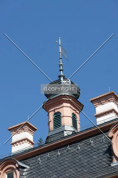 Photo 566-238-421