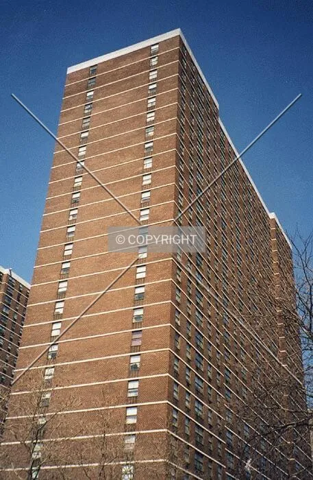 View from the southeast