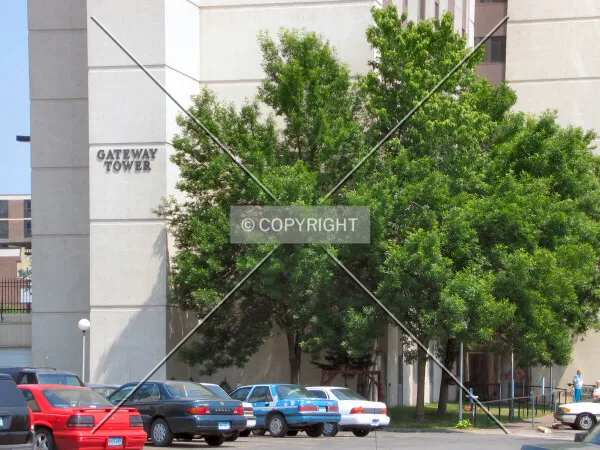 Building name from Michigan Street