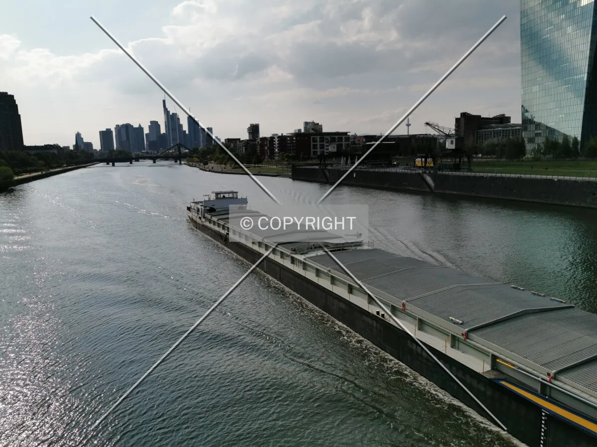 Photo 566-684-284