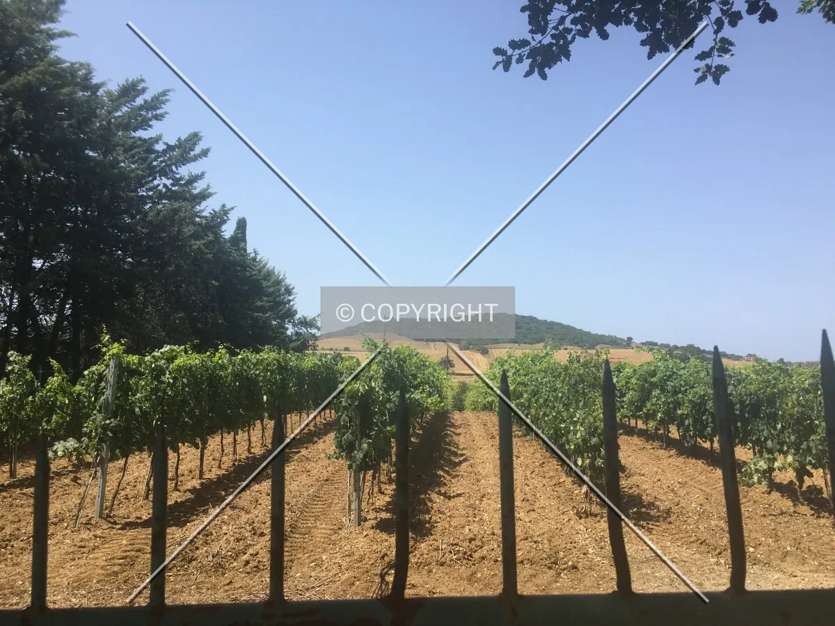 Photo 566-849-108