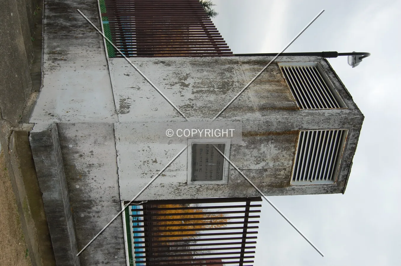 Photo 566-961-836