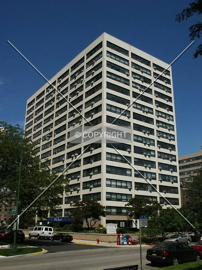 View from the southeast