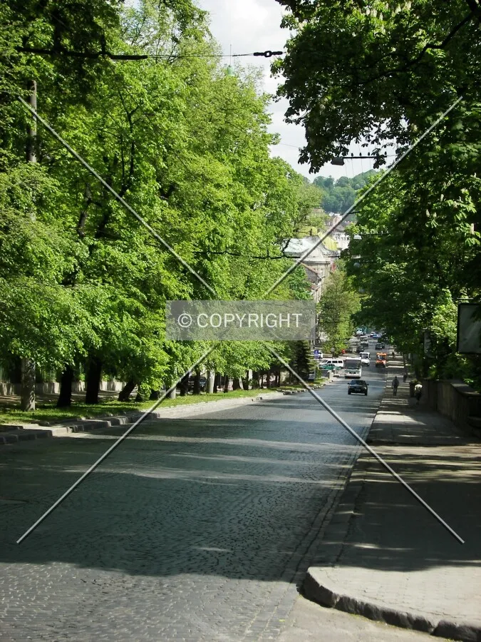 Looking down Lystopadovogo Chynu Street