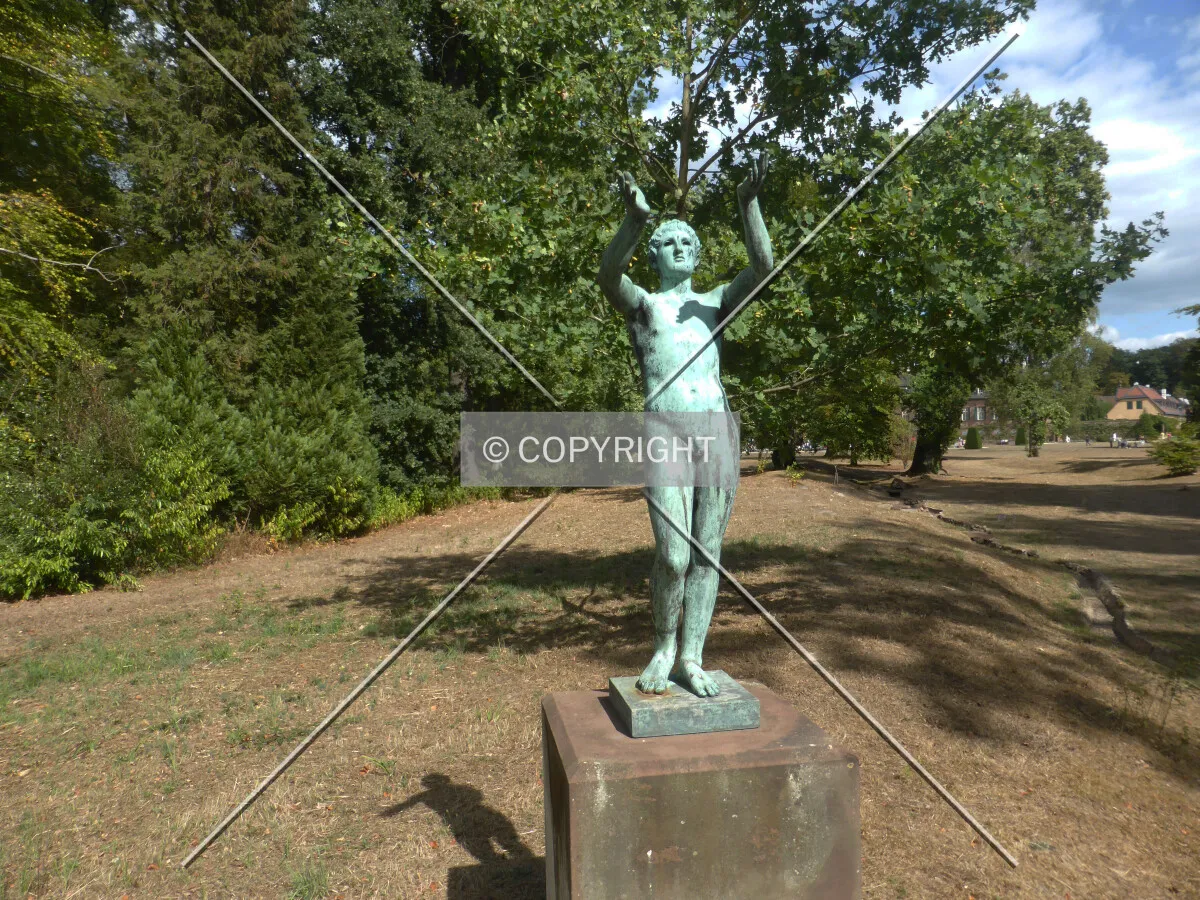 Photo 568-231-251