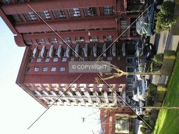 Photo 568-339-574