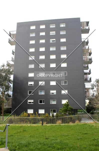 D07