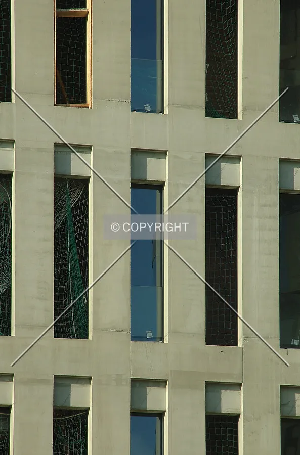 Windows on south side