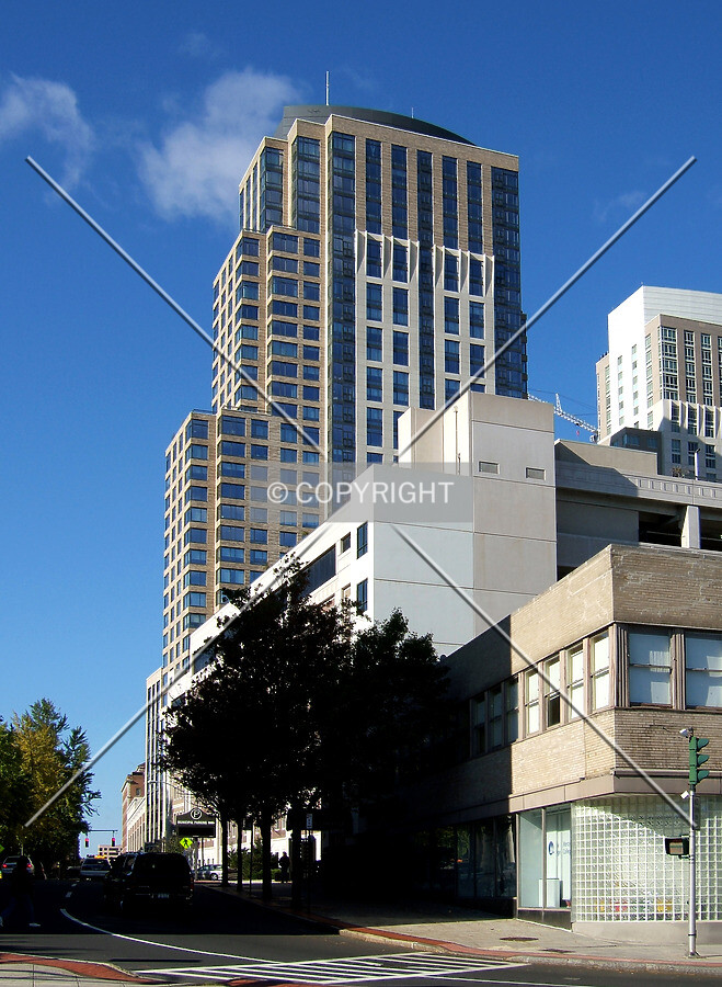 View from the east along Martine Avenue