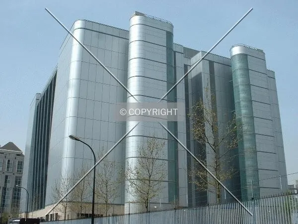 View of the rear