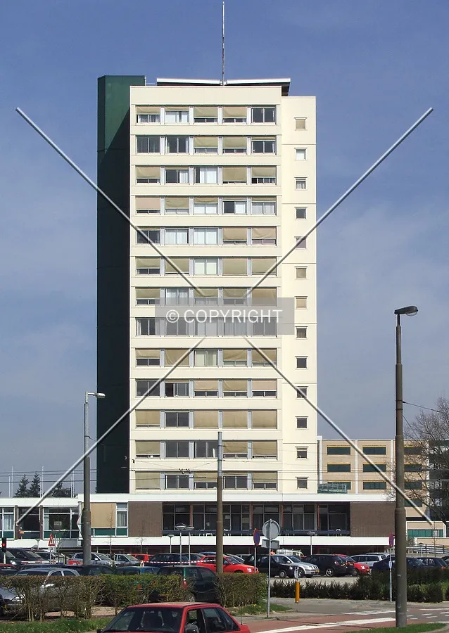 View from the south