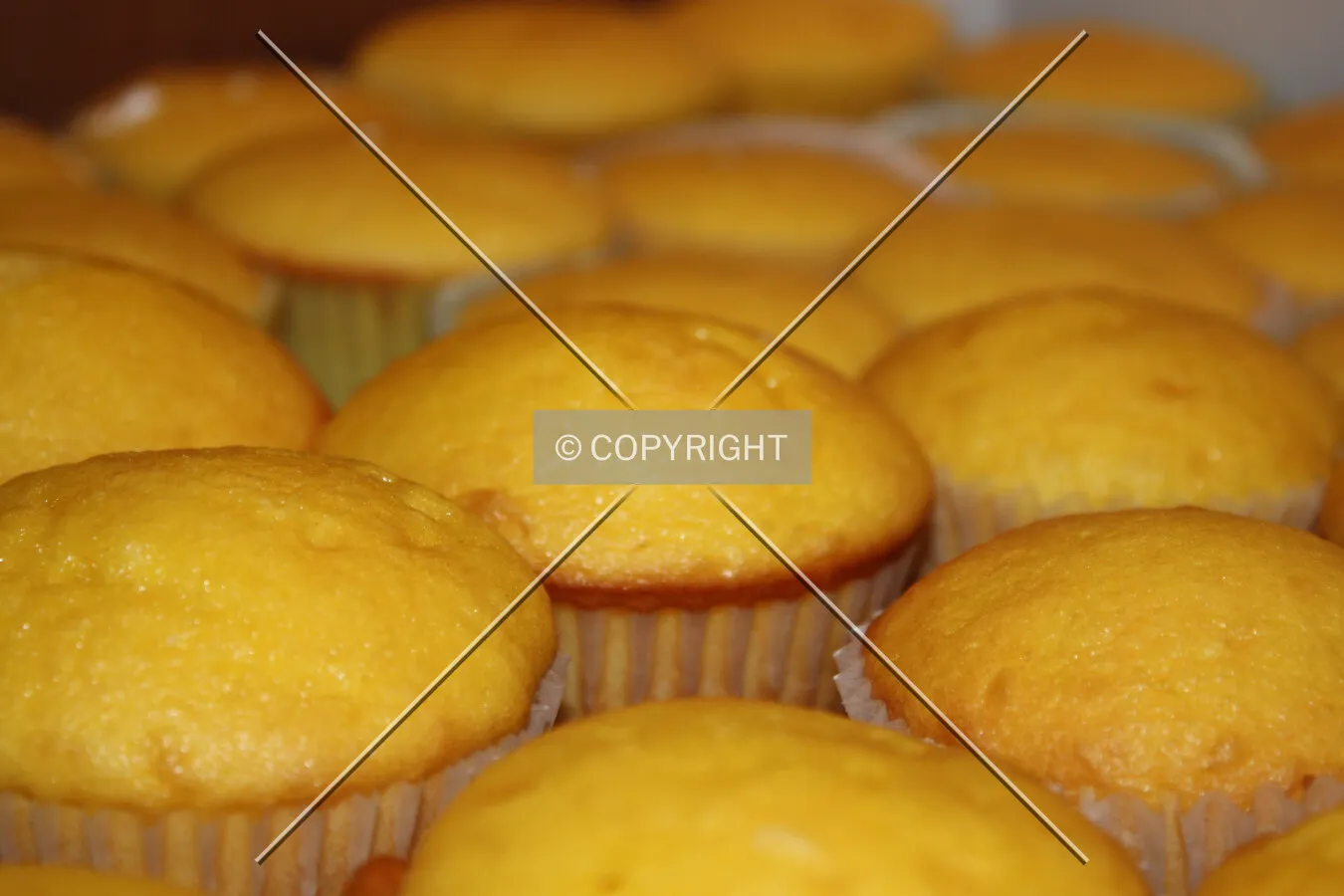 Cupcakes fresh from the oven