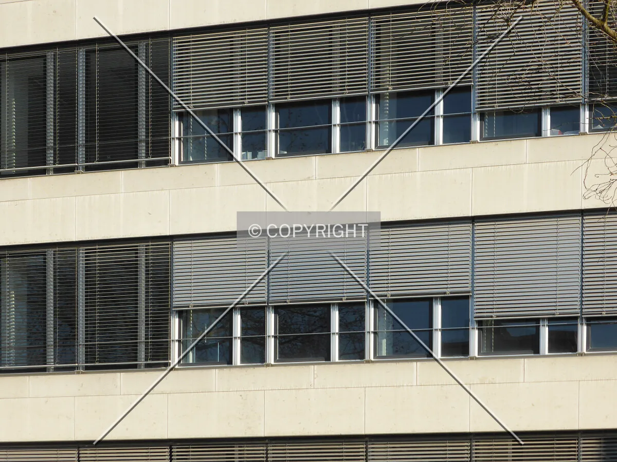 Photo 570-175-539