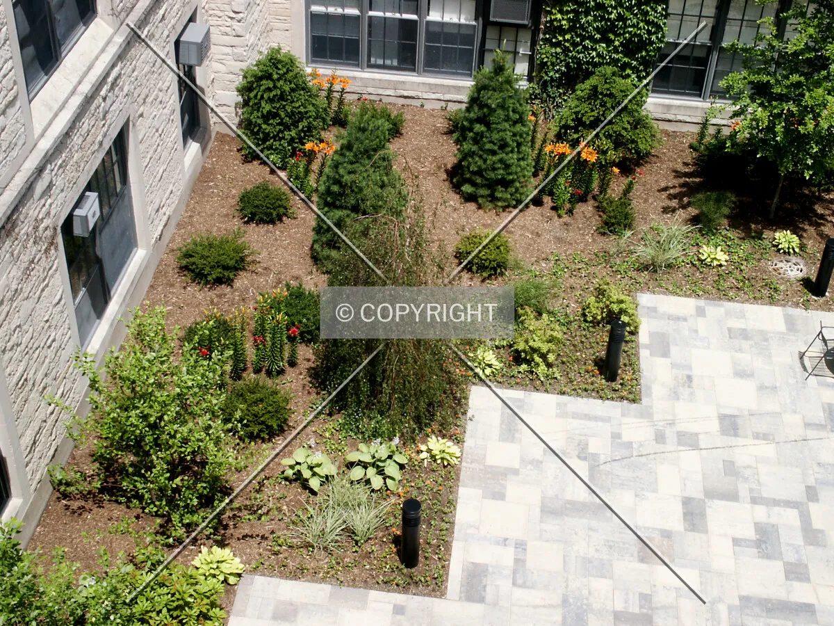 Landscaping in the courtyard