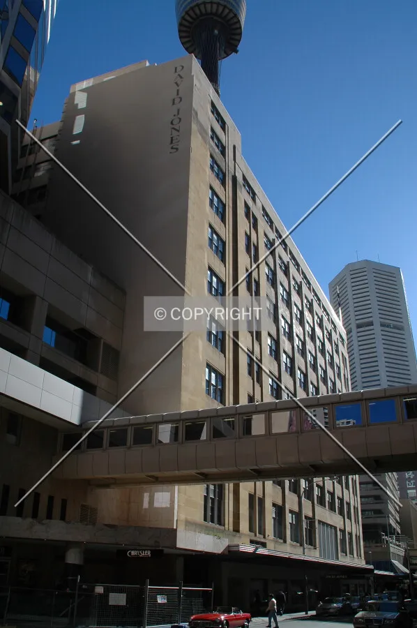 Looking up from Pitt Street