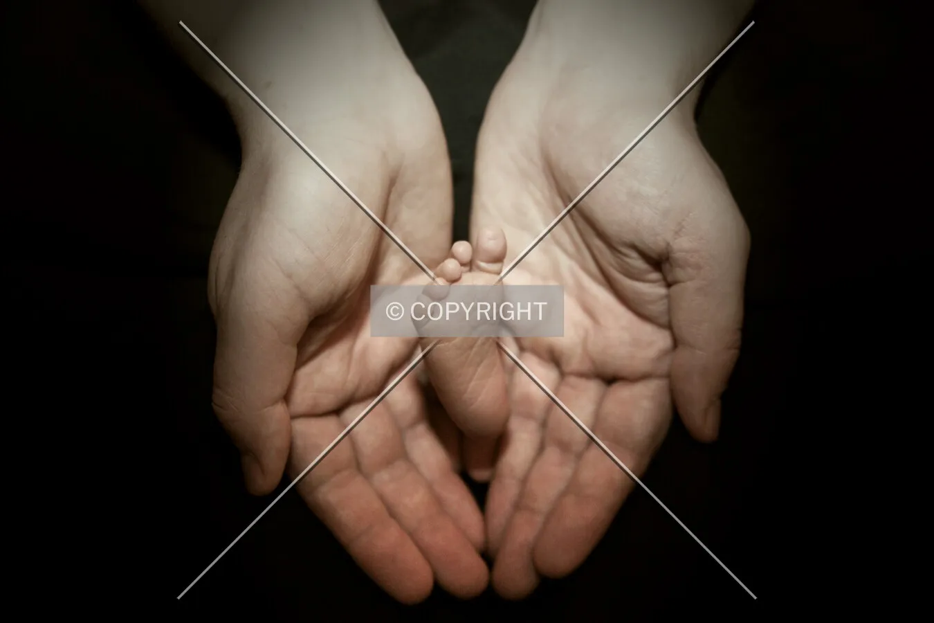 Photo 570-819-260