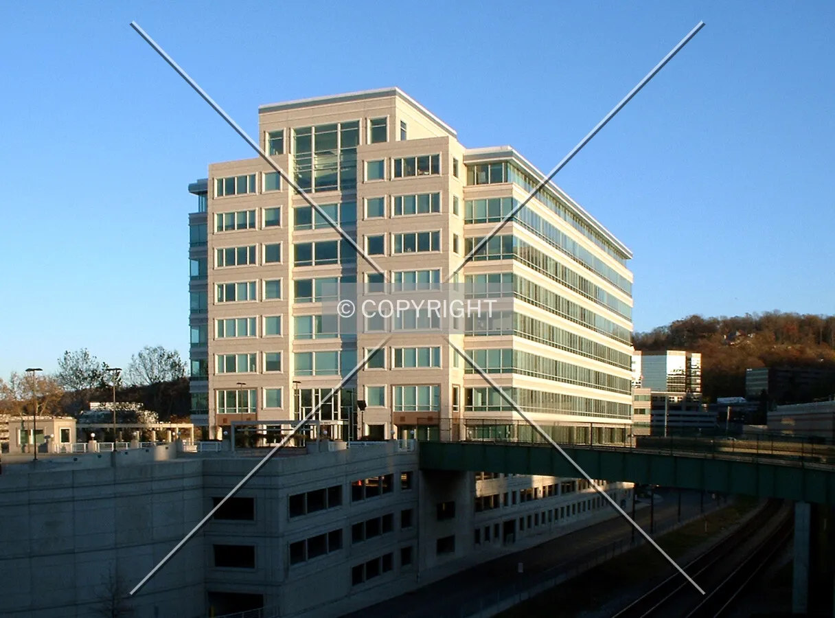 View from the northwest