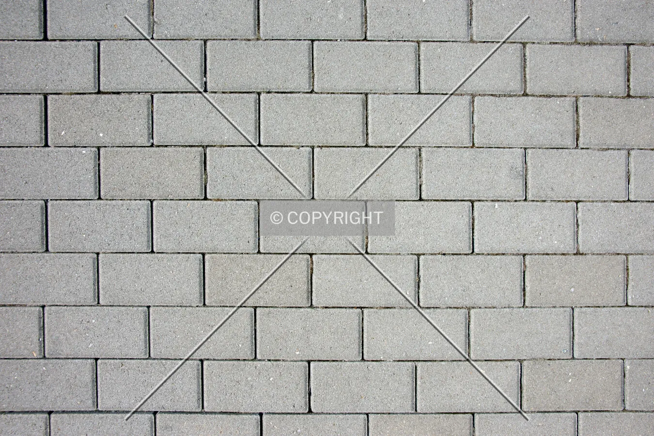 Gray flagging stones