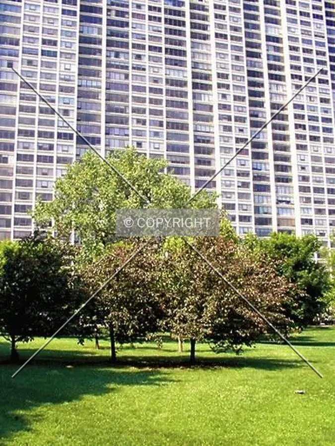 The giant wall behind Lincoln Park